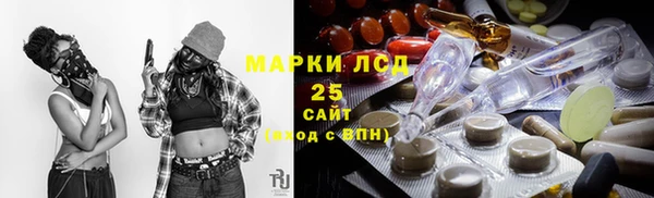 индика Алексин