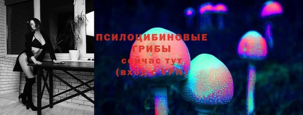 гидропоника Алексеевка