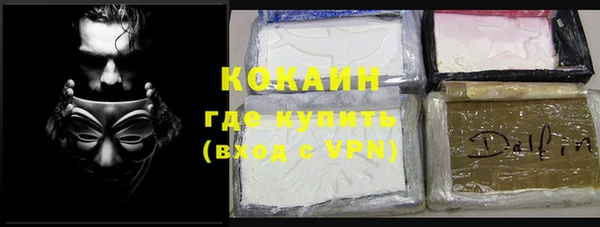 индика Алексин