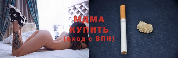 индика Алексин