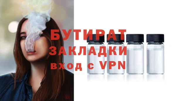 индика Алексин