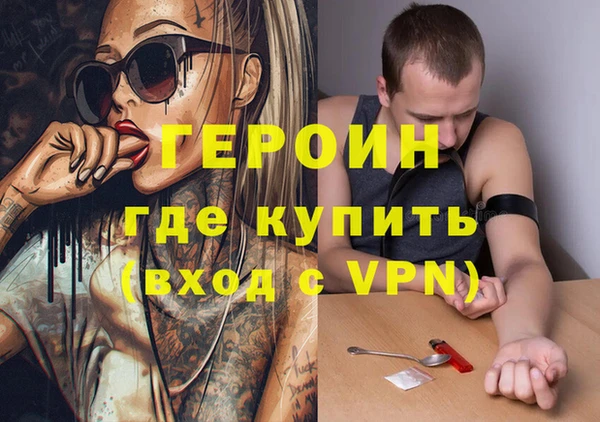 индика Алексин