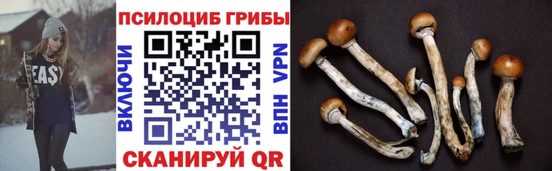 Галлюциногенные грибы Cubensis  Углич 