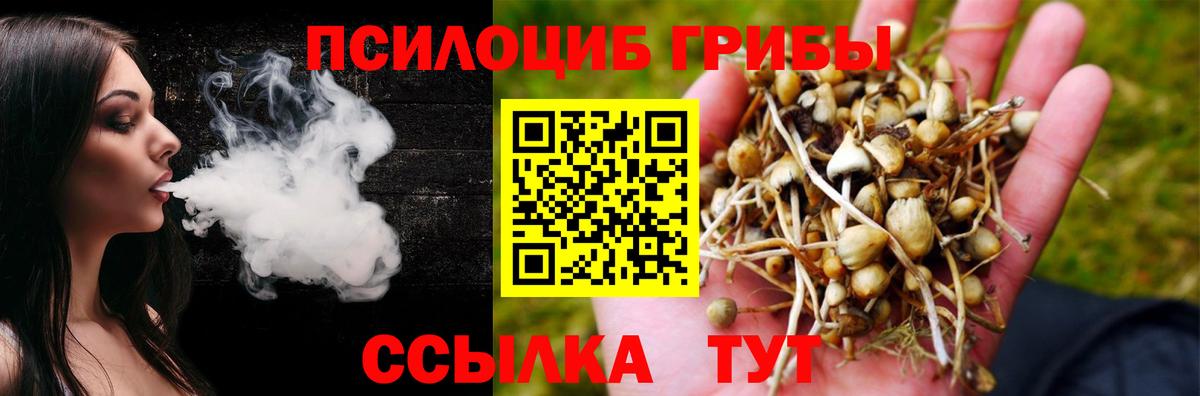 Углич  Галлюциногенные грибы GOLDEN TEACHER  Вход с VPN  закладки  Псилоцибиновые грибы Magic Shrooms 